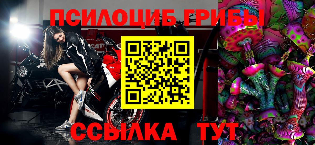Галлюциногенные грибы Magic Shrooms  Галлюциногенные грибы MAGIC MUSHROOMS  Вход с VPN  Кизилюрт 